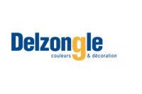 Logo Delzongle